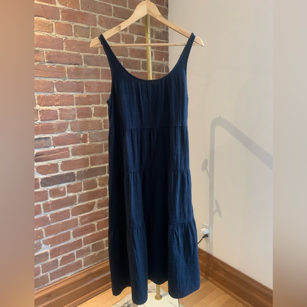 NWT Aritzia Firefly Dress